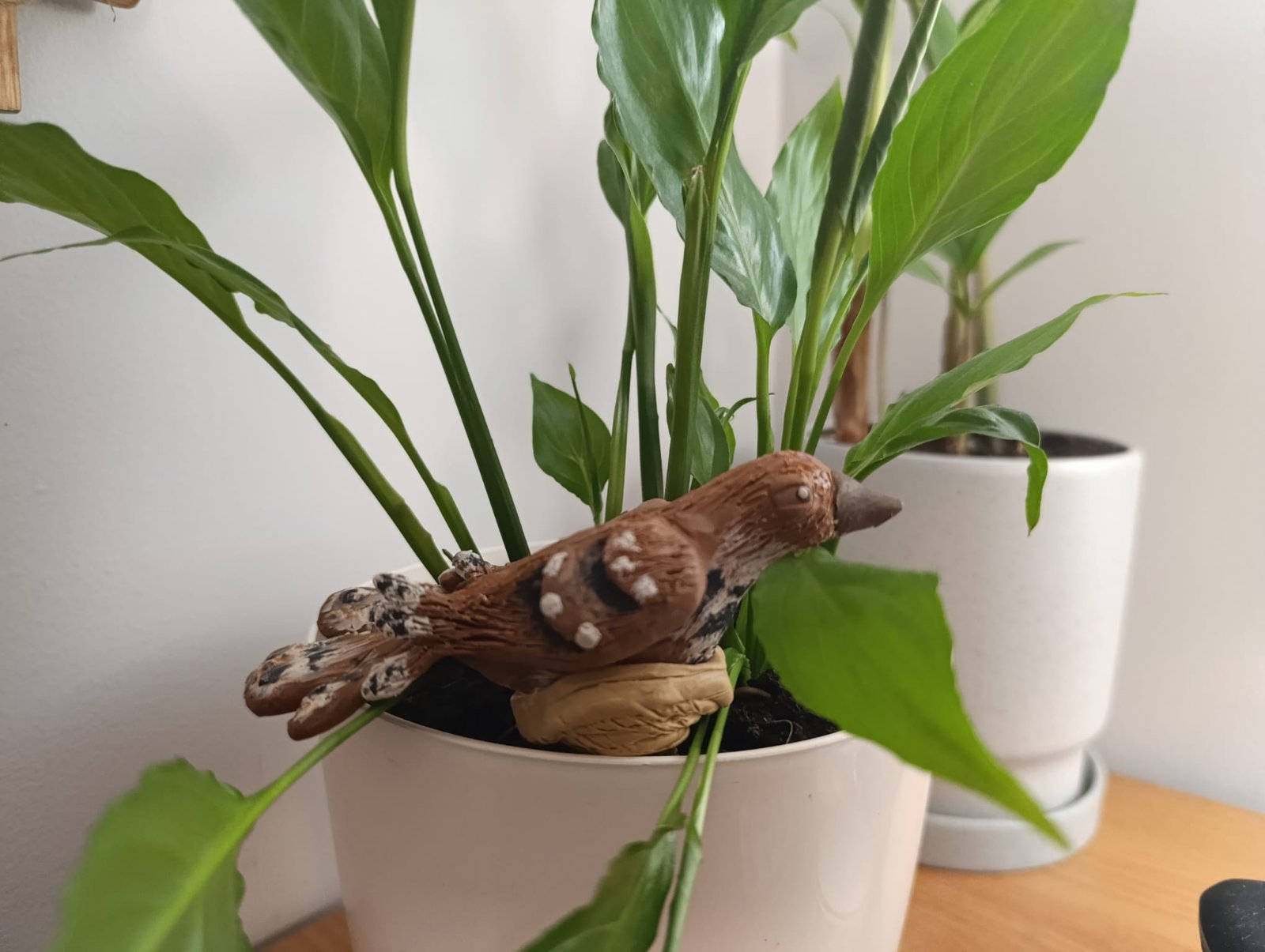 - Антонюк Матвій, учень 9-В класу Гімназії №10 міста Сіверськодонецька Луганської області – ІІІ місце.