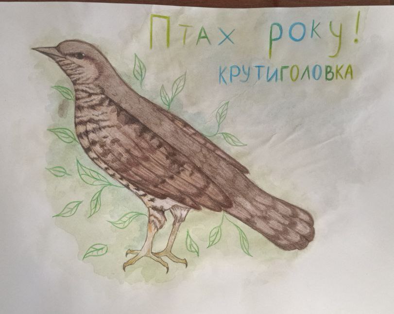 - Цвілик Вероніка, учениця 9-А класу Гімназії № 4 міста Сіверськодонецька Луганської області – ІІ місце;