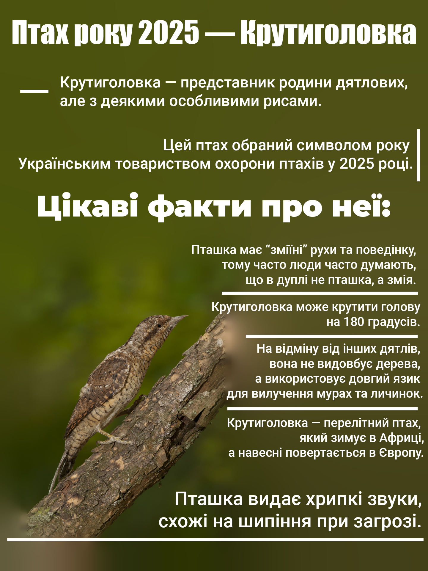 - Тарасов Роман, учень 9-А класу Ліцею №1 міста Сіверськодонецька Луганської області - ІІІ місце.