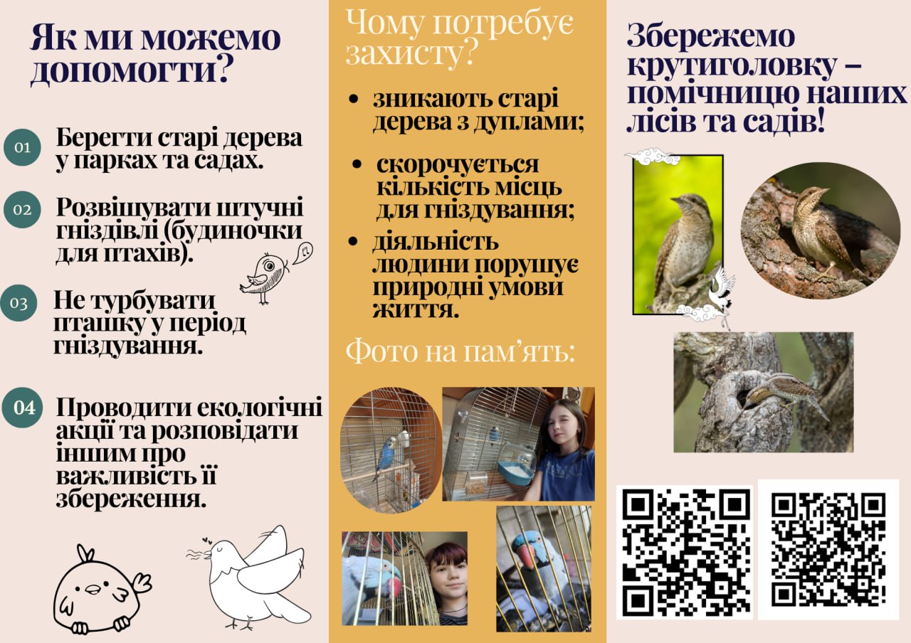 колектив учнів 6-А класу Ліцею №1 міста Сіверськодонецька Луганської області – ІІ місце