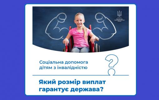 Держава гарантує дітям з інвалідністю та людям, що мають інвалідність з дитинства, соціальну допомогу. Вона призначається на весь час інвалідності, встановленої органами медико-соціальної експертизи (МСЕК). 