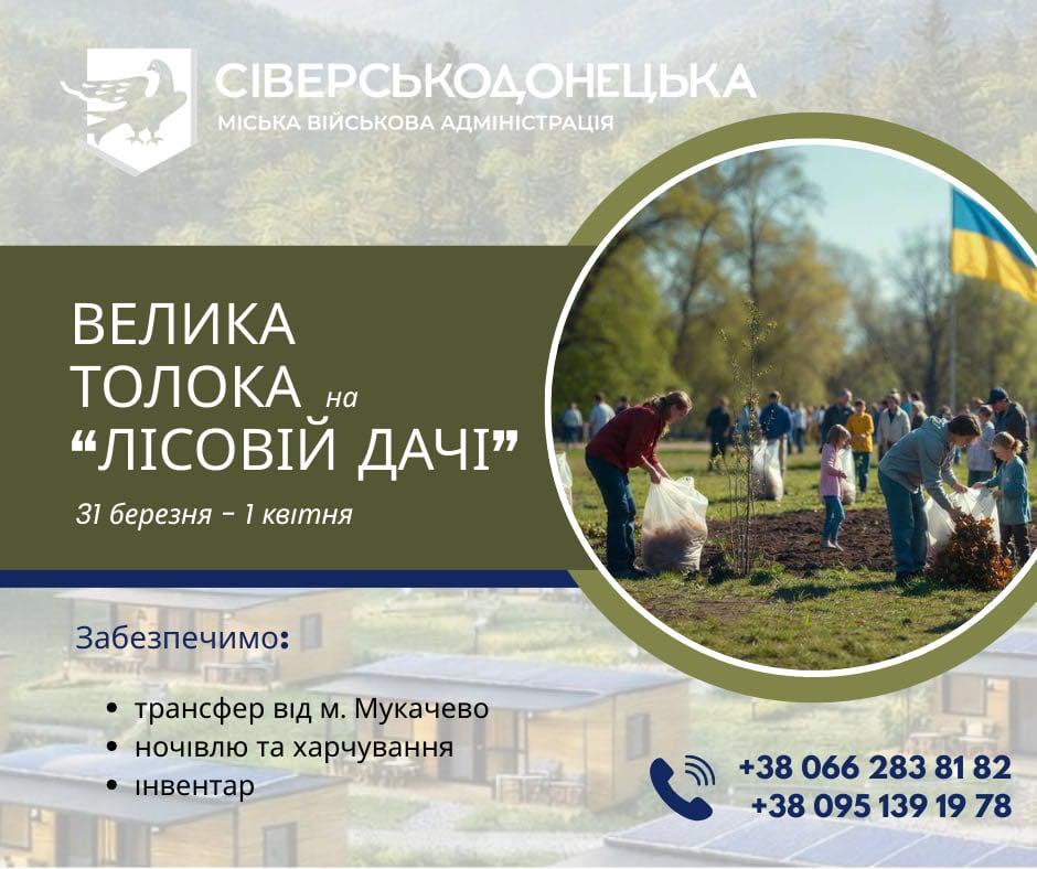 Велика толока на "Лісовій Дачі" 🌲